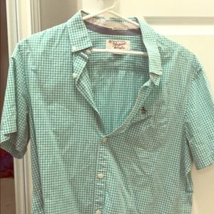 Penguin polo white and green checkered